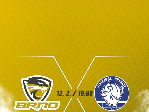 Plakát události DATART extraliga žen: Šelmy Brno - Přerov