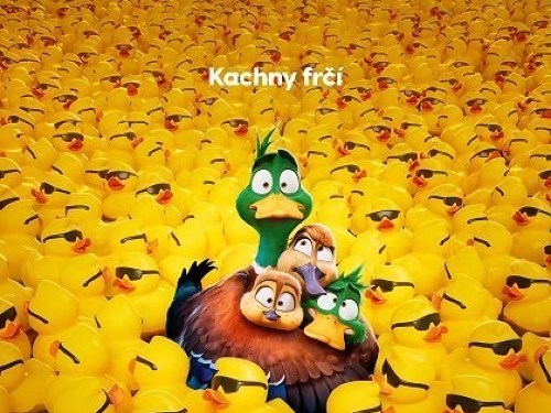 Plakát události Ptáci stěhováci