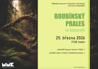 Plakát události Boubínský prales ve fotografii