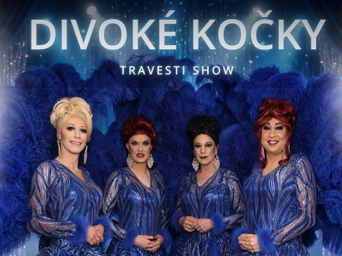 Plakát události Travesti show Divoké kočky ve Vracově