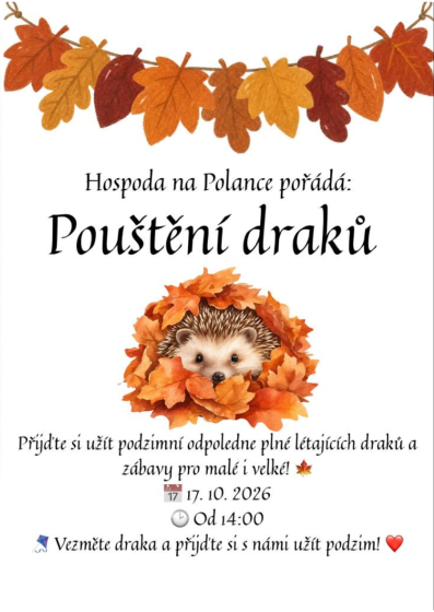 Plakát události Pouštění draků