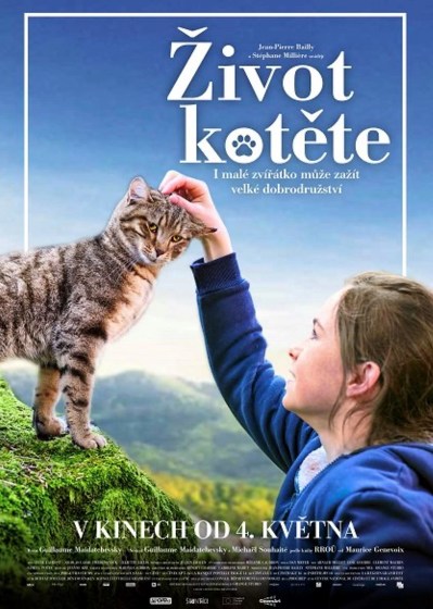 Plakát události Život kotěte