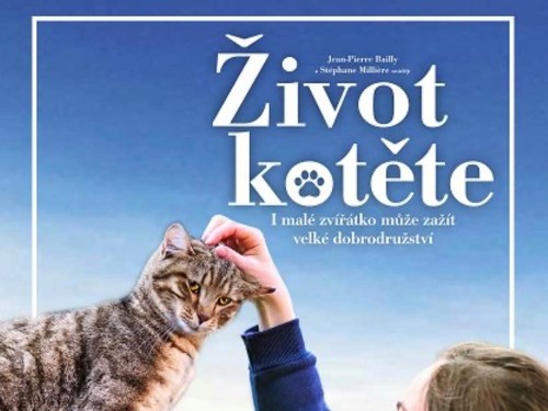 Plakát události Život kotěte