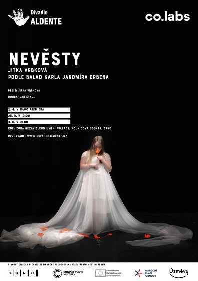 Plakát události Nevěsty