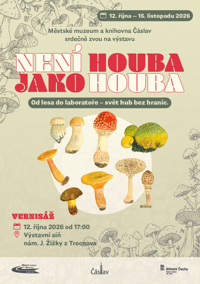 Plakát události Není houba jako houba