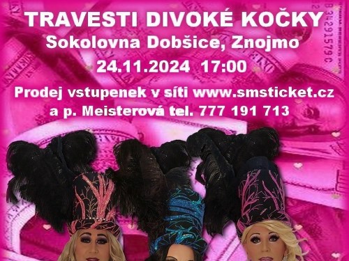 Plakát události Travesti Divoké kočky ve Znojmě