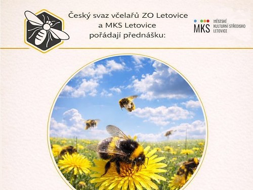 Plakát události Chov a podpora čmeláků, Letovice