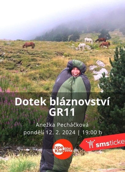Plakát události Dotek bláznovství GR11 / Anežka Pecháčková