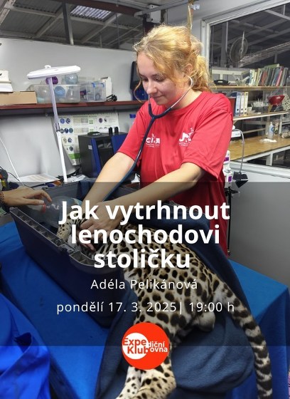 Plakát události Jak vytrhnout lenochodovi stoličku