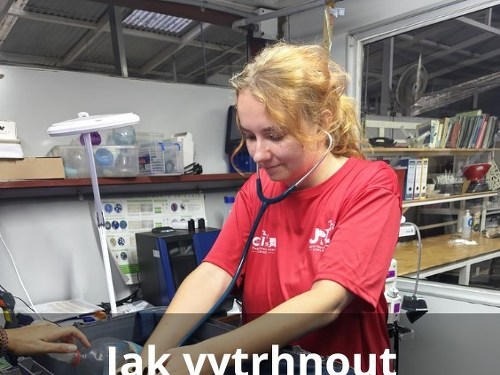 Plakát události Jak vytrhnout lenochodovi stoličku