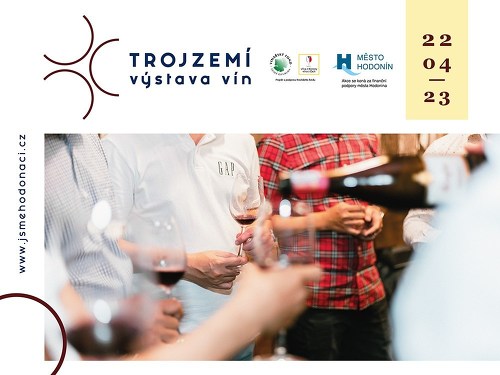 Plakát události 1. Výstava vín Trojzemí