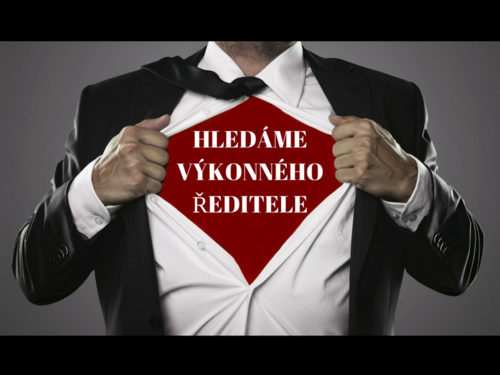 Výkonný ředitel