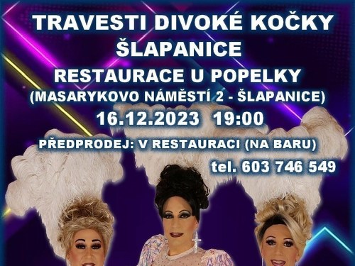 Plakát události Travesti show Divoké kočky