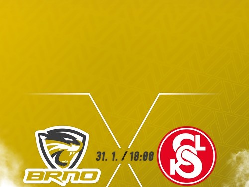 Plakát události DATART extraliga žen: Šelmy Brno - Šternberk