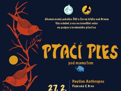 Plakát události Ptačí ples