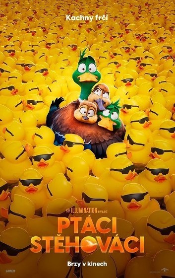 Plakát události Ptáci stěhováci