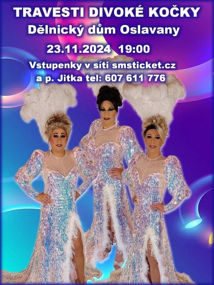 Plakát události travesti show Divoké kočky v Oslavanech