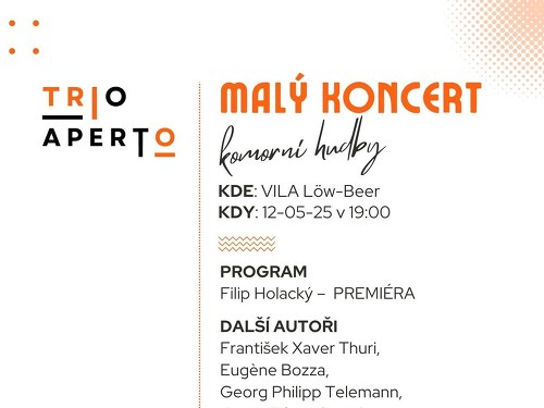 Plakát události Malý koncert komorní hudby
