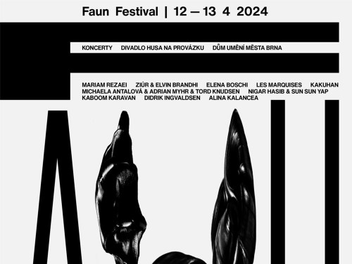 Plakát události FAUN festival 2024