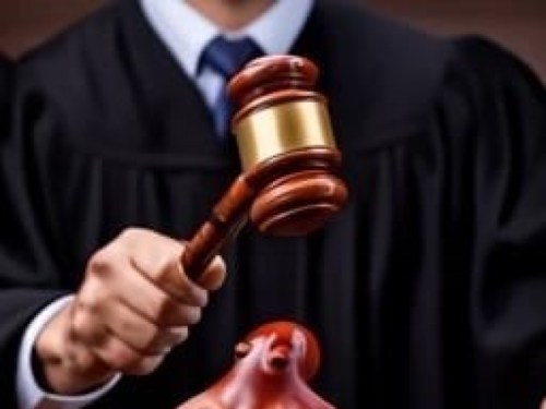 Plakát události Právnická plavba. Completely Law(less).