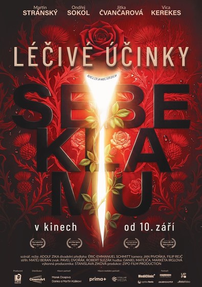Plakát události Léčivé účinky sebeklamu
