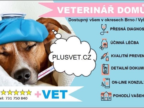 VETERINÁŘ DOMŮ +VET plusvet.cz