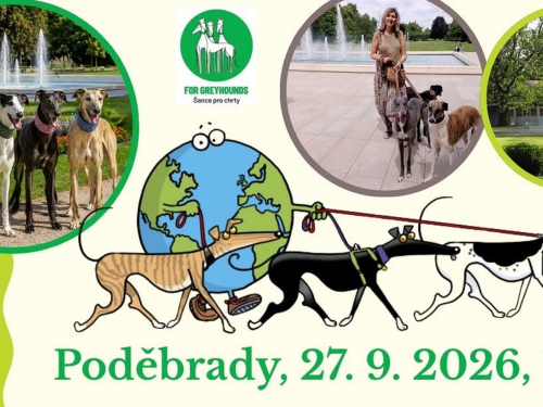 Plakát události For Greyhounds - Šance pro chrty, z.s.