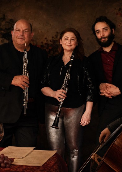 Plakát události DEMOS Ensemble: Vrcholný romantismus | Komorní koncert