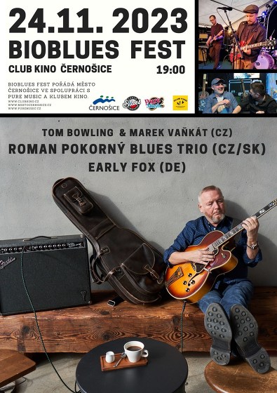 Plakát události Bio Blues fest