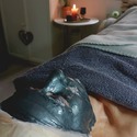 Kosmetický Salon Rena