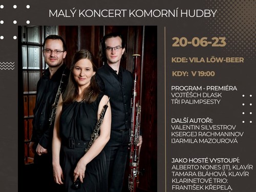 Plakát události Malý koncert komorní hudby