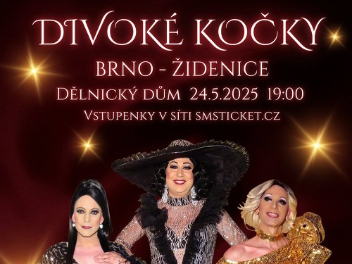 Plakát události Travesti Divoké kočky v Brně