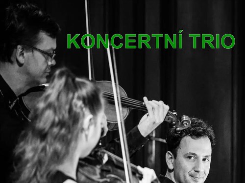 Plakát události Kulturní léto na Bítově 2024 - TRIO brněnské filharmonie