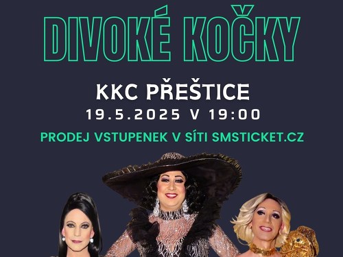 Plakát události Travesti show Divoké kočky v Přešticích