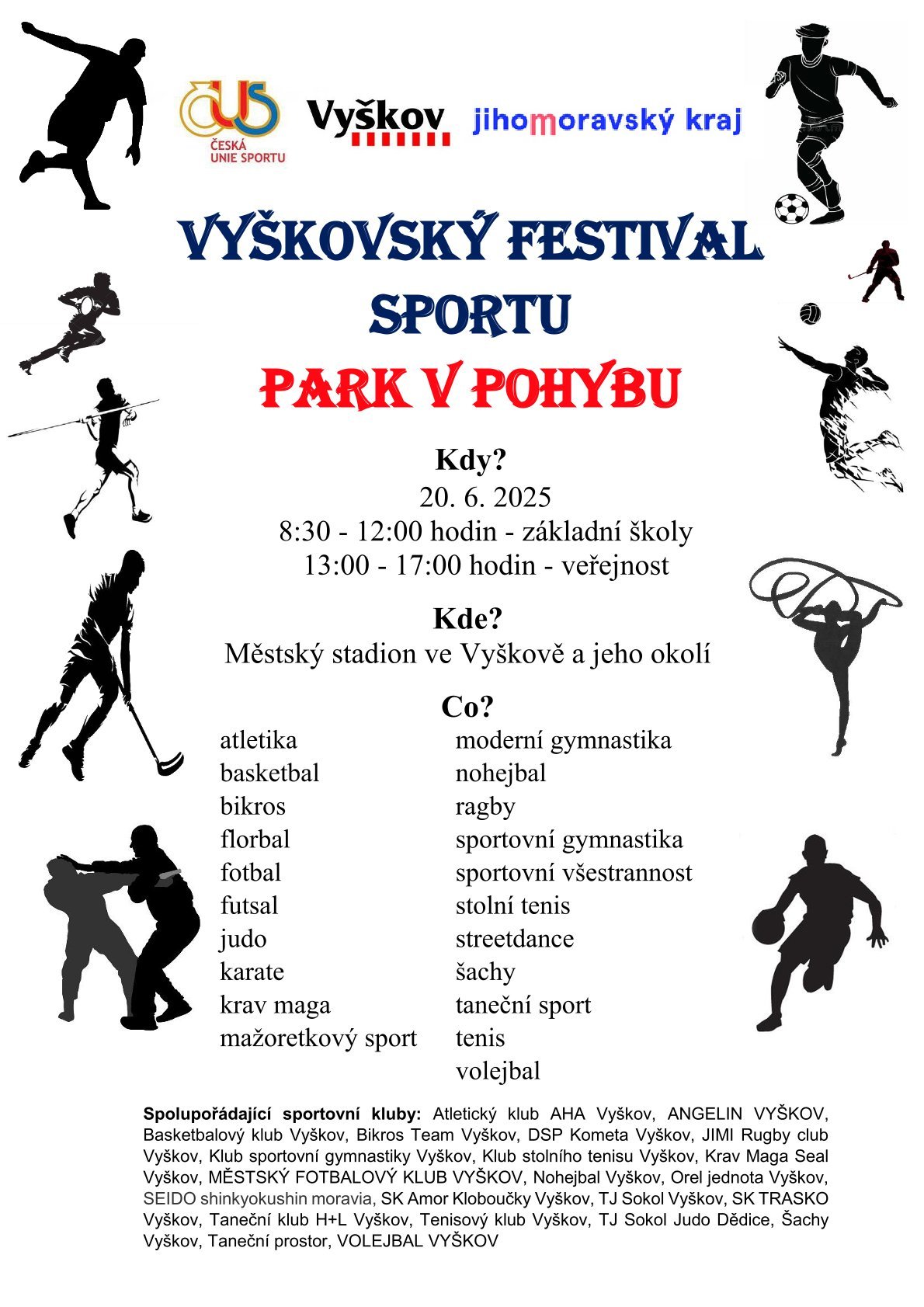 Vyškovský festival sportu