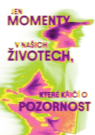Plakát události Jen momenty v našich životech, které křičí o pozornost