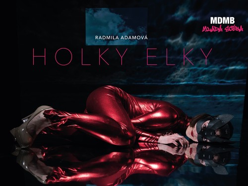Plakát události Holky Elky - Radmila Adamová