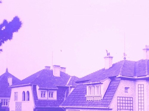 Plakát události Od vesnice k zahradní čtvrti. Žabovřesky 1905‒1925