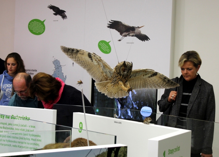 Expozice Příroda (1).JPG
