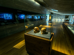 Zveme Vás na svátek archeologie do Archeoparku Pavlov a Regionálního muzea v Mikulově