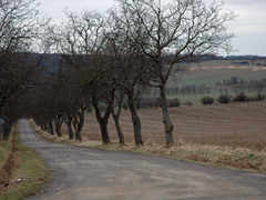 Na opravě asfaltového povrchu na cestě do Ivaně se podařilo výrazně ušetřit Na opravě asfaltového povrchu na cestě do Ivaně se podařilo výrazně ušetřit