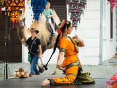 FOTO: Na indickou svatbu dorazil velbloud. V Rosicích se konal Dváraka festival