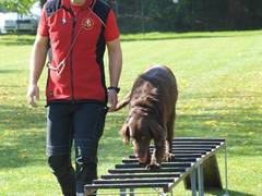Den s IZS představil dětem práci záchranářů a naučil je základním dovednostem Den s IZS představil dětem práci záchranářů a naučil je základním dovednostem