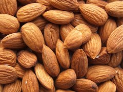 Jaké gastronomické zážitky přinesou Slavnosti mandloní a vína v Hustopečích?