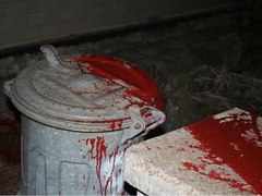 Fasáda na červeno. Na rodinném domě ve Šlapanicích se vyřádil vandal