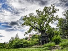 Slaví sto let: Luští křížovky a vyráží na túry