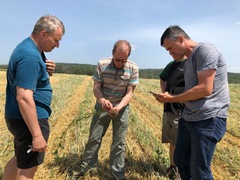 Eroze ohrožuje půdu. Zemědělci na Moravě zkoušejí nové postupy, aby ji ochránili