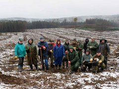 Energetici z Dukovan vysadili 3 500 sazenic olší a jedlí v Heralticích