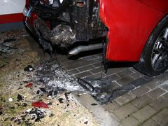 Chtěla chránit klima: Na čelní sklo auta hodila mrtvou kočku, výfuk ucpala větví