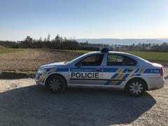 Z neposlušného řidiče se vyklubal zloděj. Před policisty z Boleslavi se schovával v kukuřičném poli